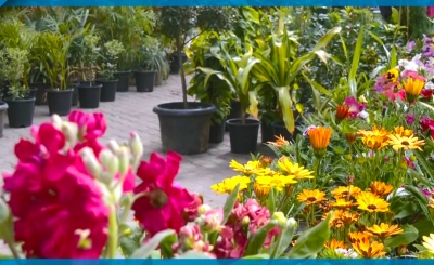 معرض "ربيع بلادي" للنباتات والزهور 2022